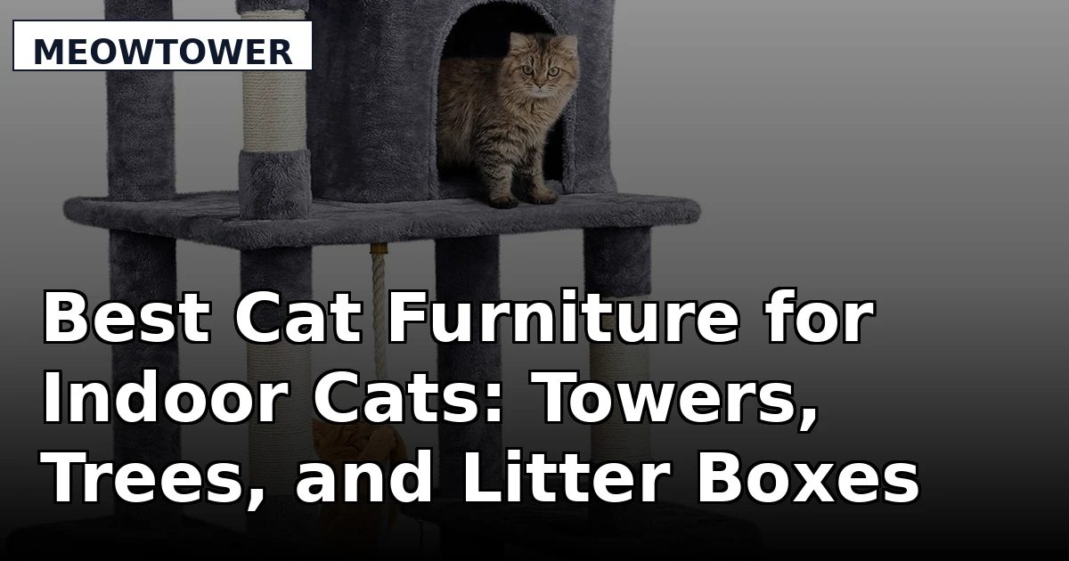 Best Cat Furniture for Indoor Cats: Towers, Trees, and Litter Boxes