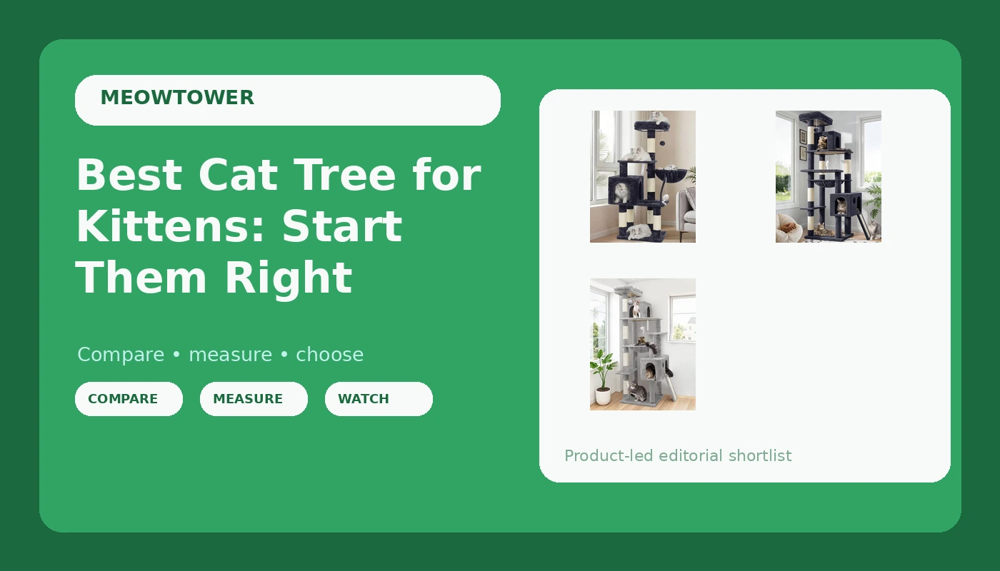 Best Cat Tree for Kittens: Start Them Right - MeowTower review with measurements and honest opinion