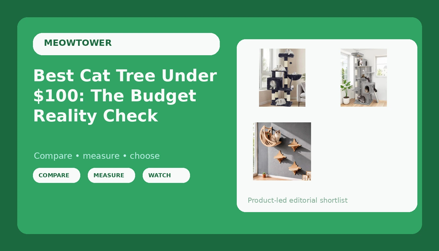 Best Cat Tree Under $100: The Budget Reality Check - MeowTower review with measurements and honest opinion