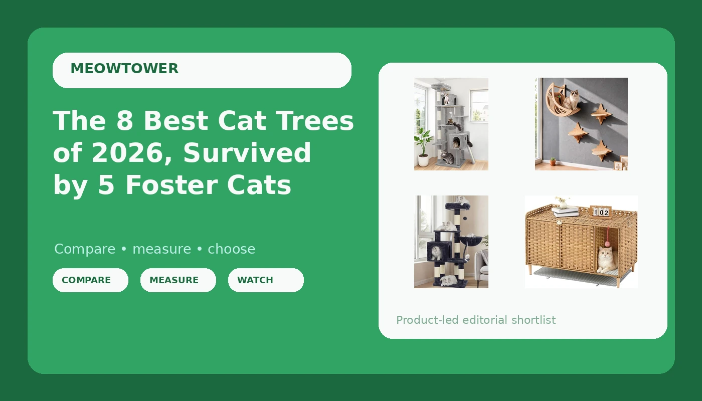 The 8 Best Cat Trees of 2026, Survived by 5 Foster Cats - MeowTower review with measurements and honest opinion