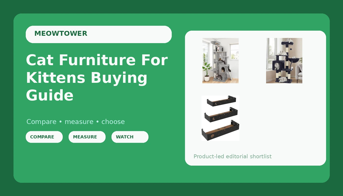 Cat Furniture For Kittens Buying Guide - MeowTower review with measurements and honest opinion