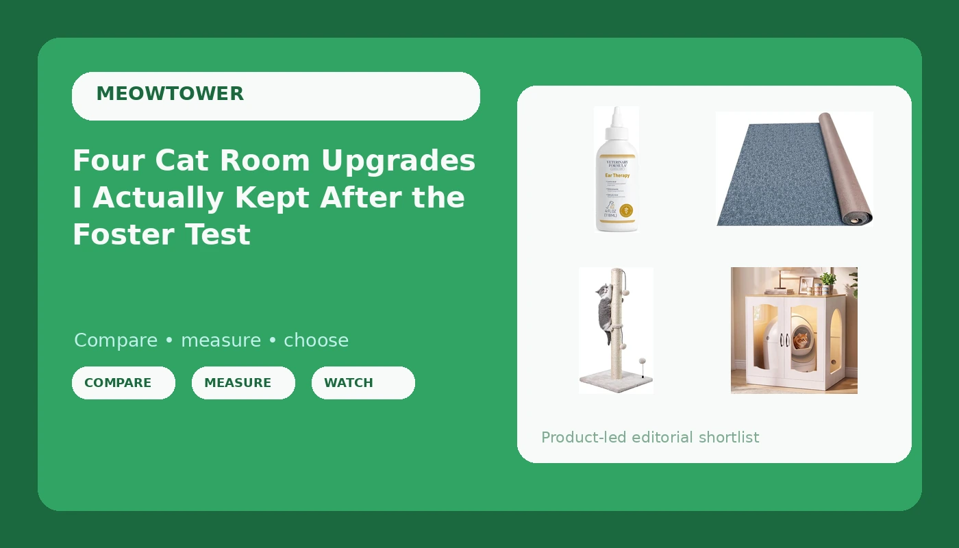 Four Cat Room Upgrades I Actually Kept After the Foster Test