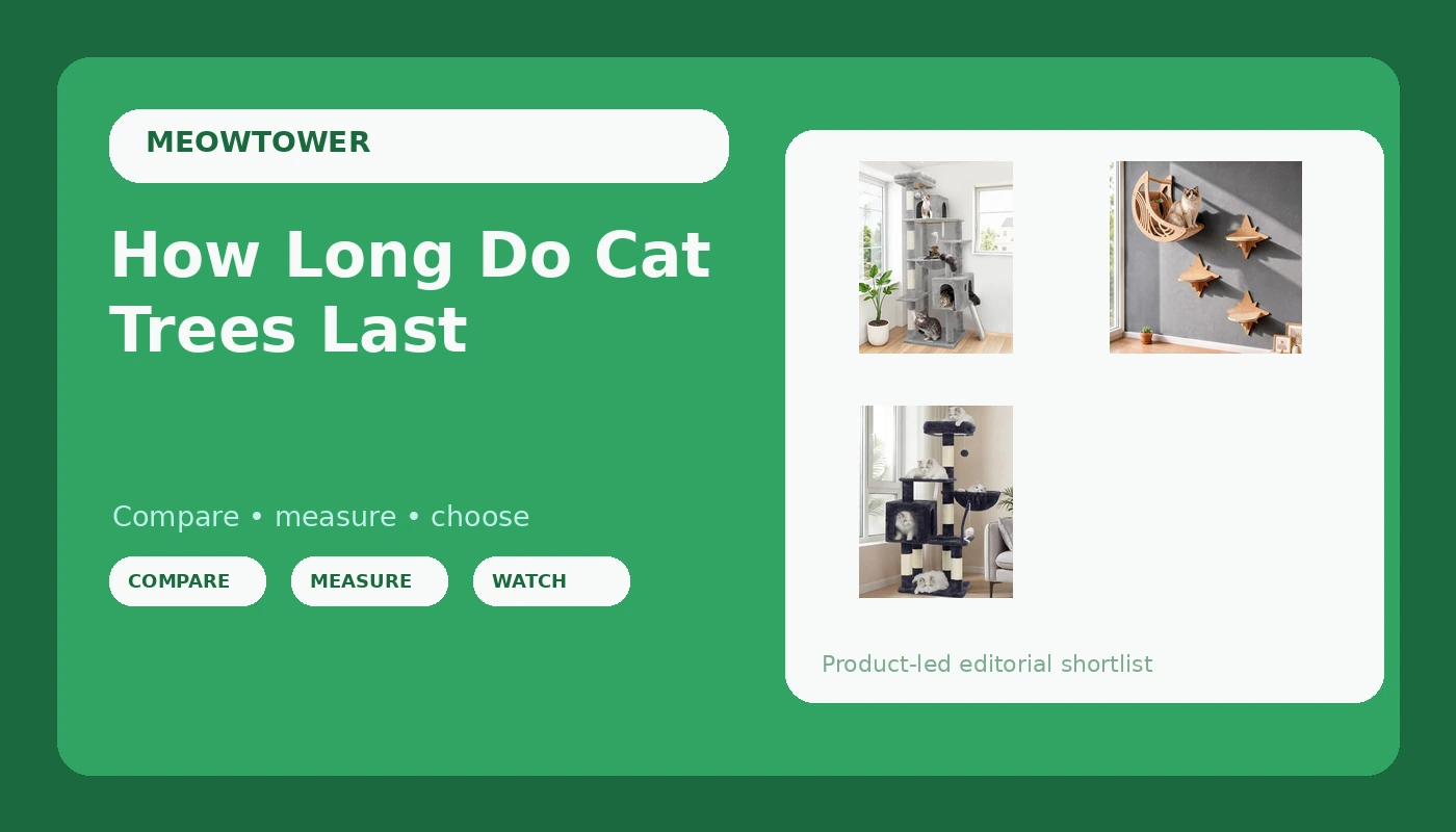 How Long Do Cat Trees Last - MeowTower review with measurements and honest opinion