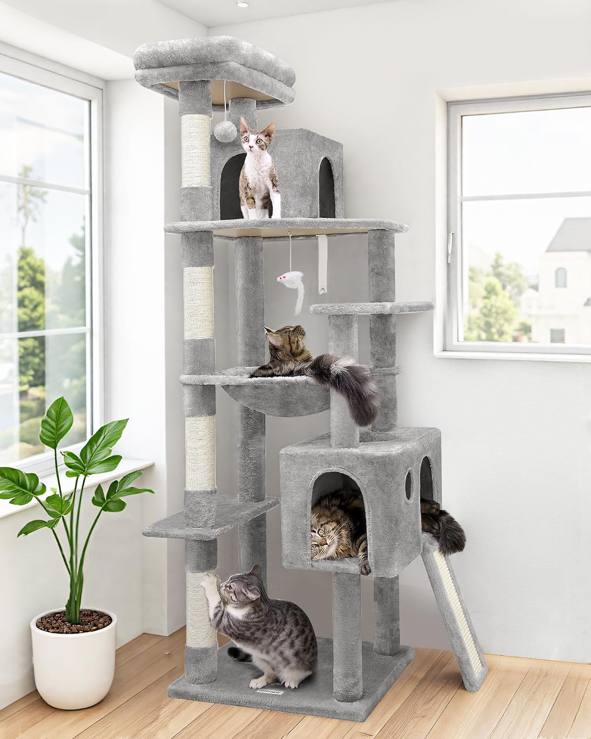 **Globlazer 70-inch Cat Tree (B0DGKR5MMP)**